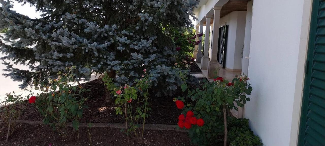 Pensjonat Casa Com Alma Fátima Zewnętrze zdjęcie